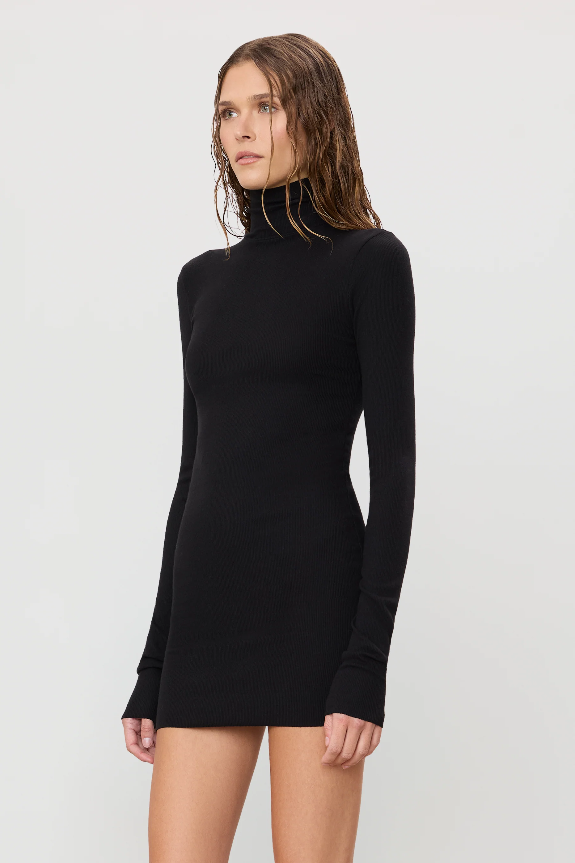 LONG SLEEVE TURTLENECK MINI DRESS - Image 3